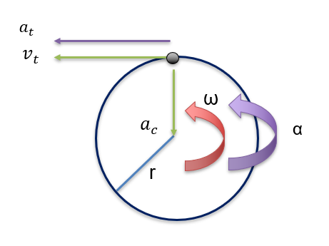 , How Motion in a Circle Affects System Dynamics