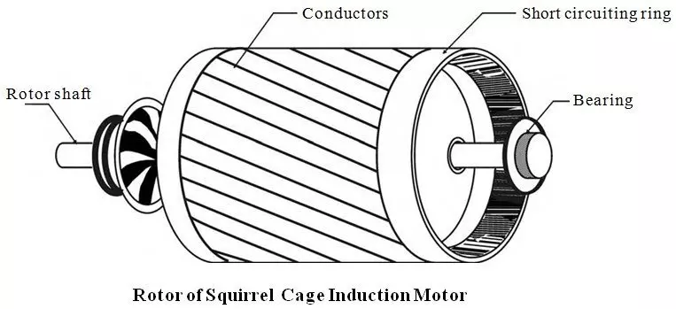 , Inside the Machines: Understanding the Construction of Induction and Synchronous Motors