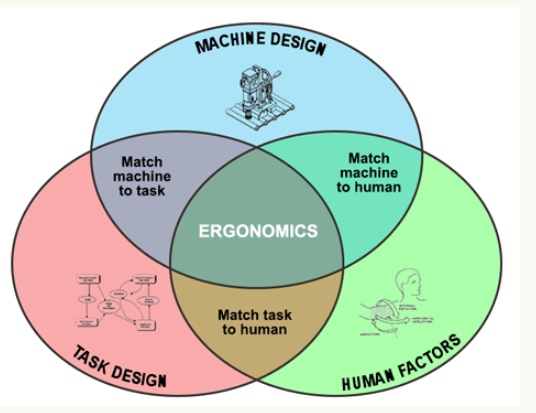 , Engineering Design in the Real World: Constraints and Practical Implications