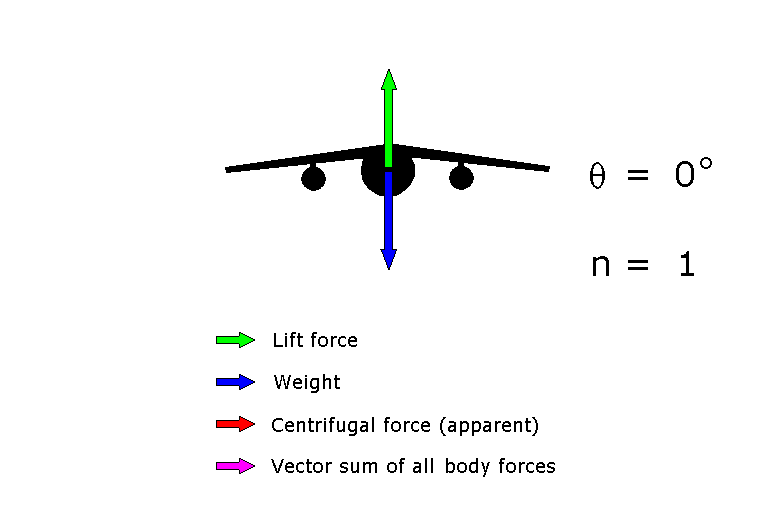 , What Really Happens in a Turn? Principles and Issues of Turning Flight