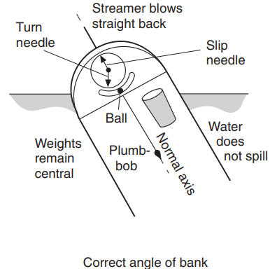 , What Really Happens in a Turn? Principles and Issues of Turning Flight