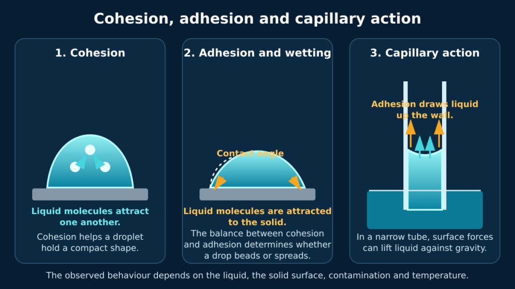, Surface Tension Explained: Cohesion, Adhesion and Engineering Applications