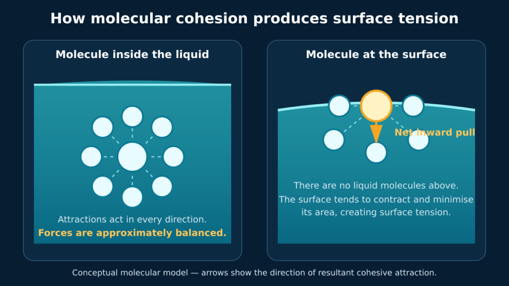 , Surface Tension Explained: Cohesion, Adhesion and Engineering Applications